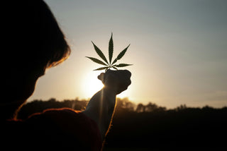 12 Compelling Reasons to Choose Hemp Fabric Over Alternatives