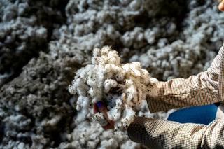 Is Your Underwear Made of Plastic? A Plastic Free July Guide