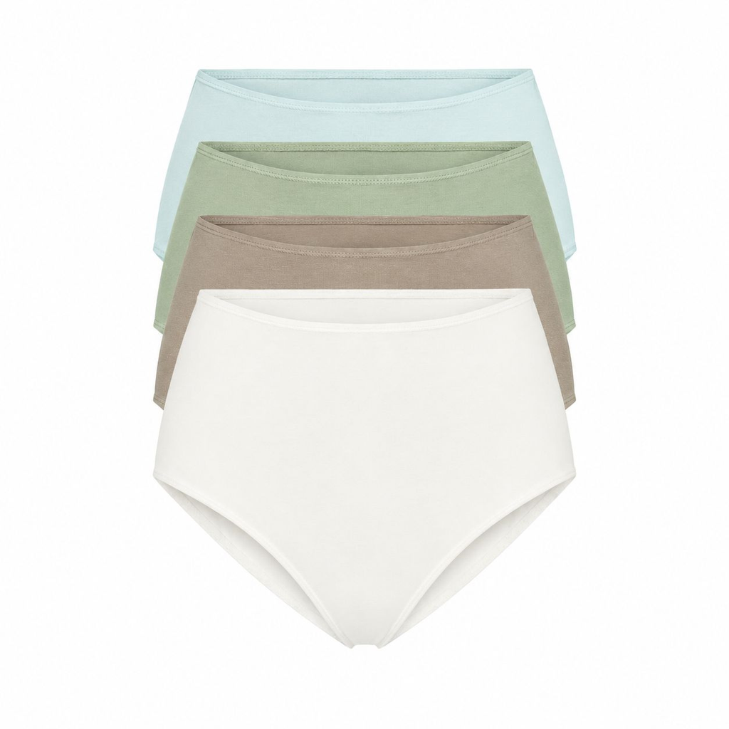 High-Rise Brief 4-Pack