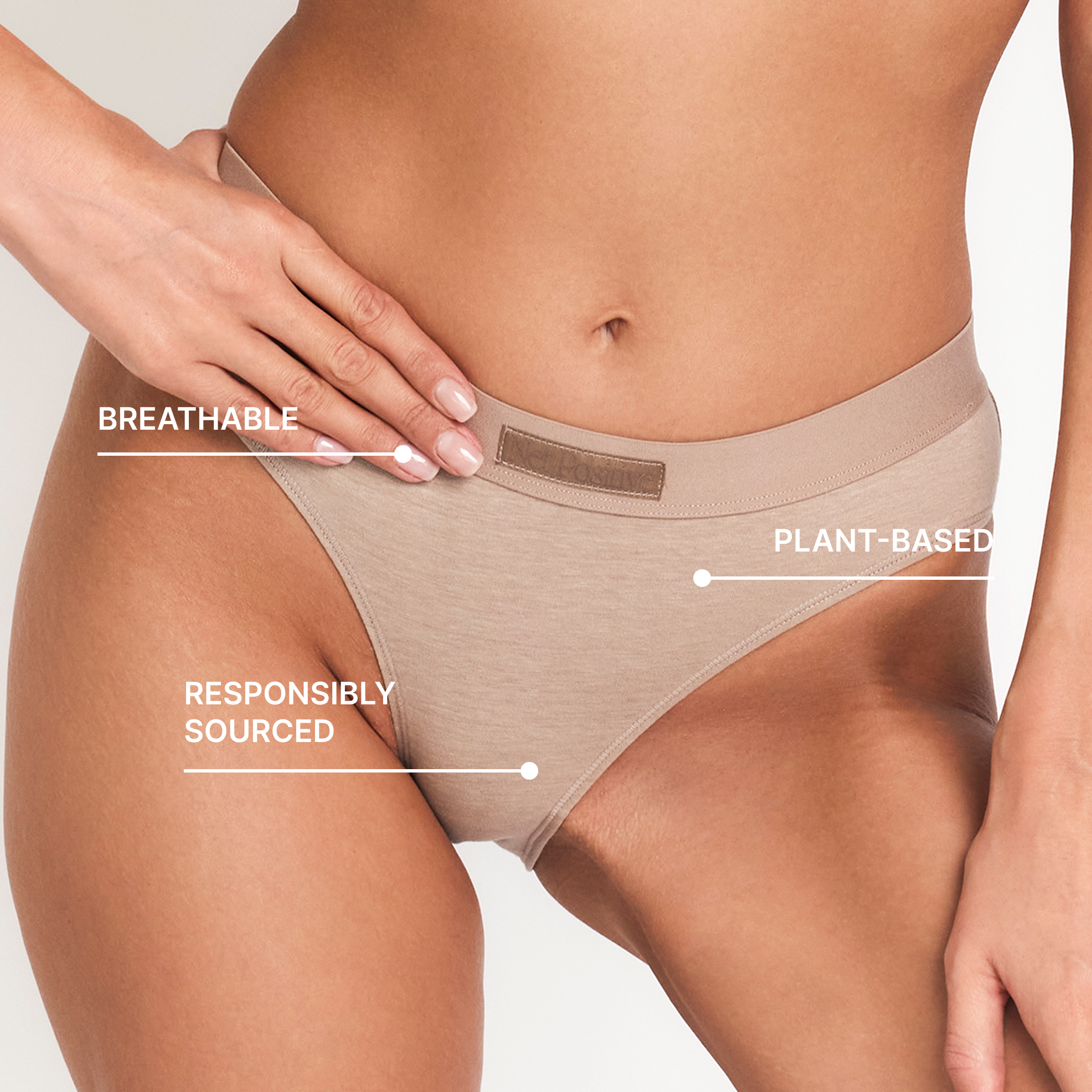 Mid-Rise Brief – Net Positive